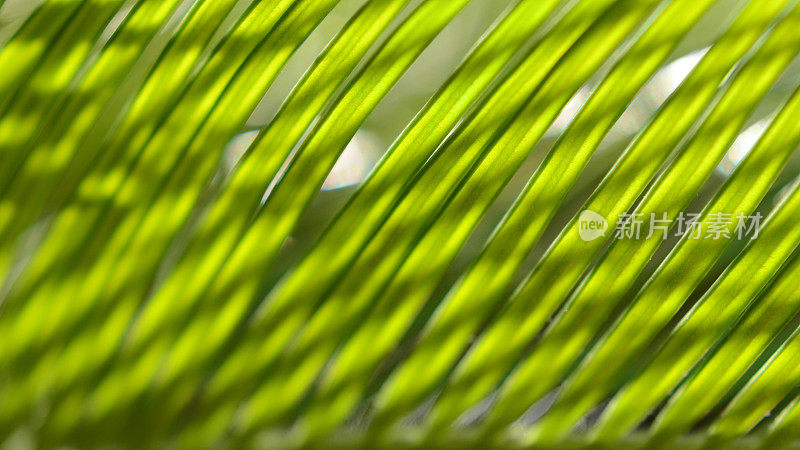 棕榈叶阳光抽象背景夏季热带明亮的条纹网格图案影戏焦反射发光斑驳光影16x9格式