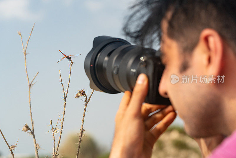 摄影师在大自然中拍摄蜻蜓微距照片