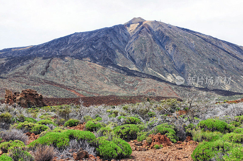 火山景观。特内里费岛的泰德国家公园景观。