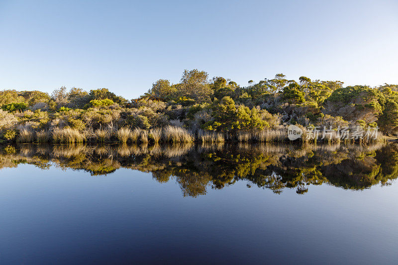 风景反射在游泳场泻湖，火湾保护区