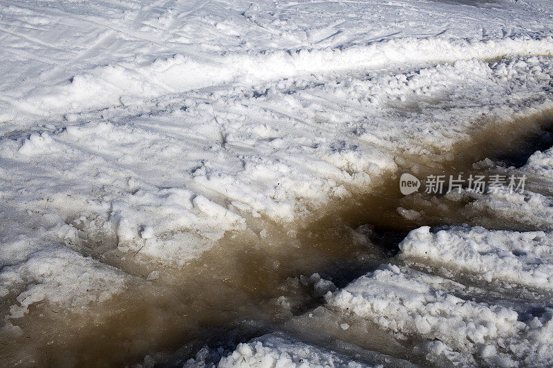 去年春雪