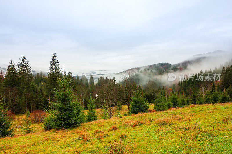 乌克兰,喀尔巴阡山。秋山中晨雾的时间流逝。风景有雪山和流动的雾。