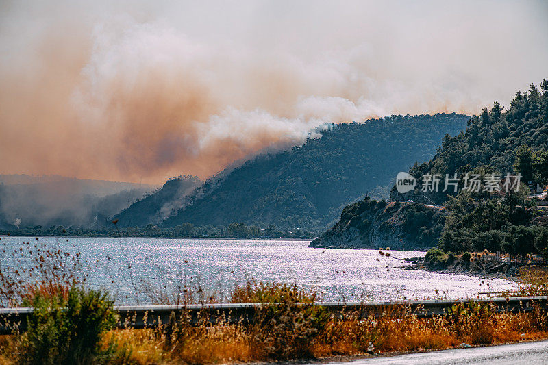 地中海红松林大火