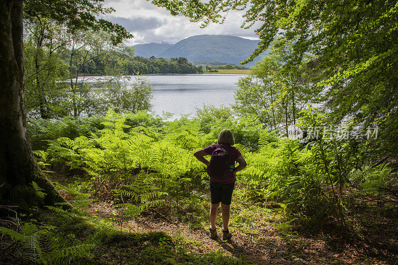 一名成年女性背包客在苏格兰阿德高尔半岛的森林徒步旅行中，停下来欣赏山上的景色。