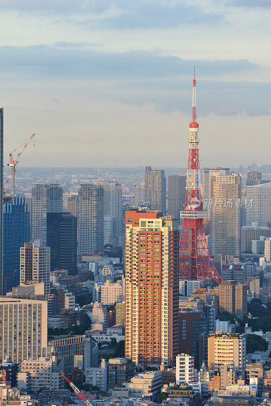 东京全景