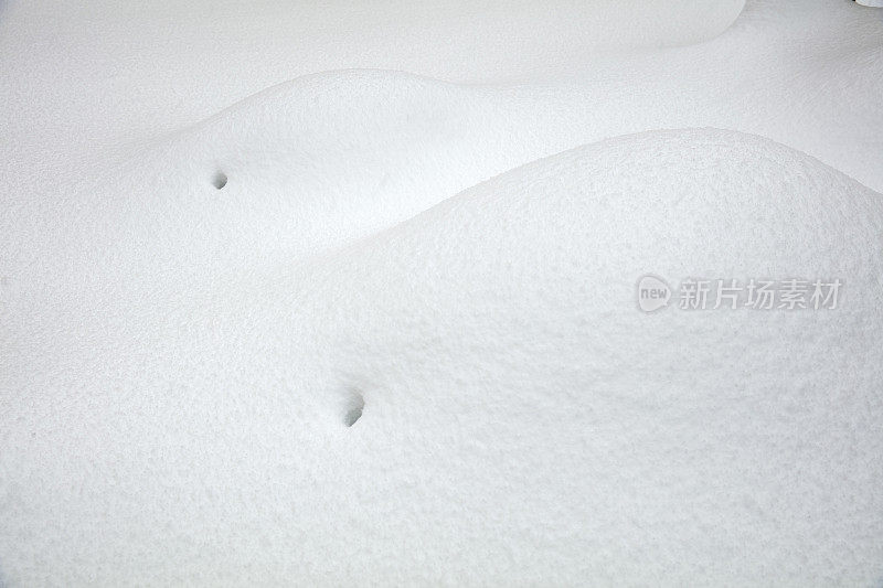 光滑的雪表面与小凸起的树