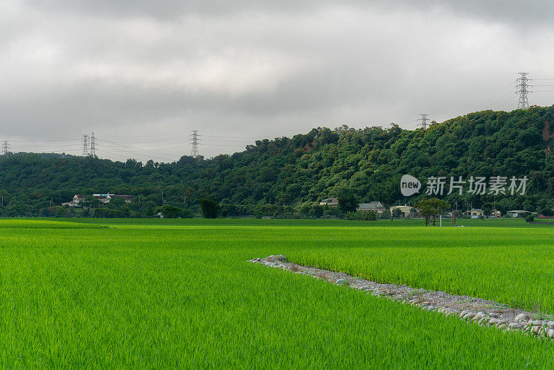 台中外浦-王游谷，千变万化的田野和云海。