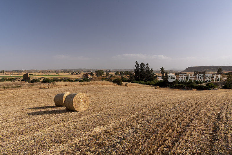 山坡上收获的田地，圆形的麦捆在村庄废墟附近投下长长的影子