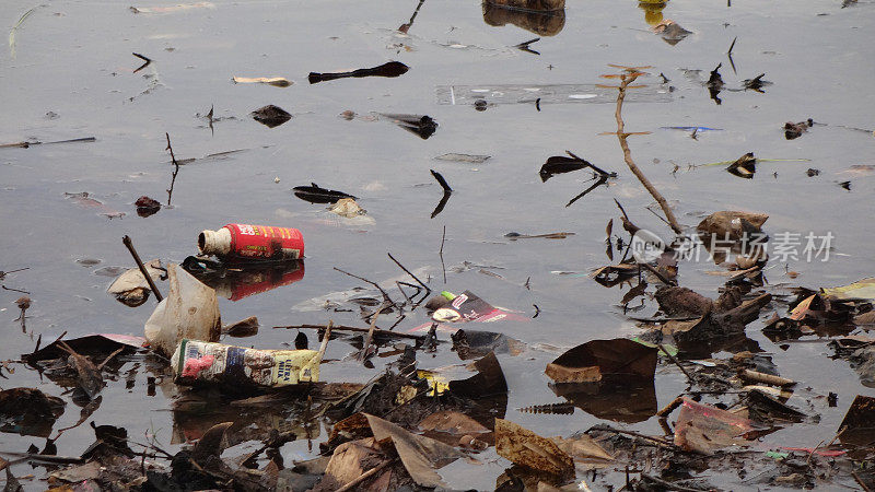 印尼西爪哇德波市西东街道西东湖的塑胶垃圾。摄于2022年10月8日