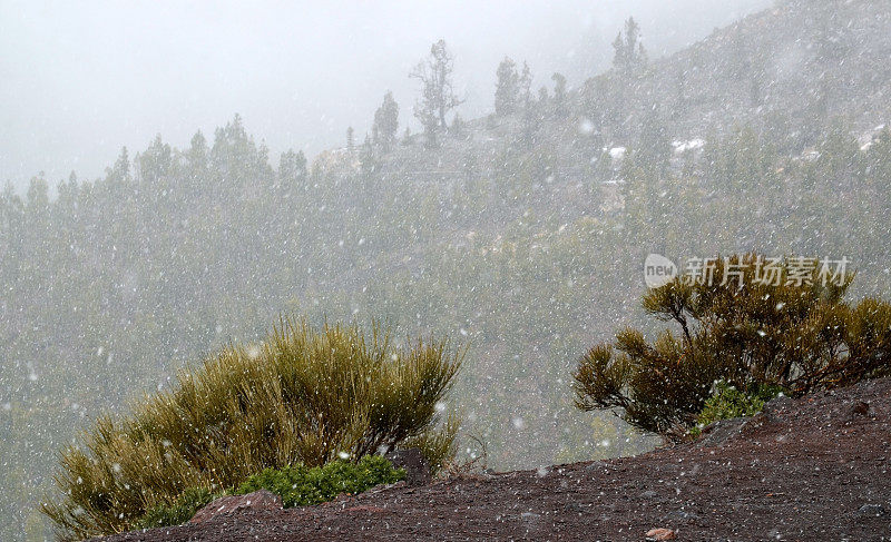 西班牙加那利群岛特内里费岛泰德国家公园的冬季降雪。白雪皑皑的火山岩石沙漠景观。