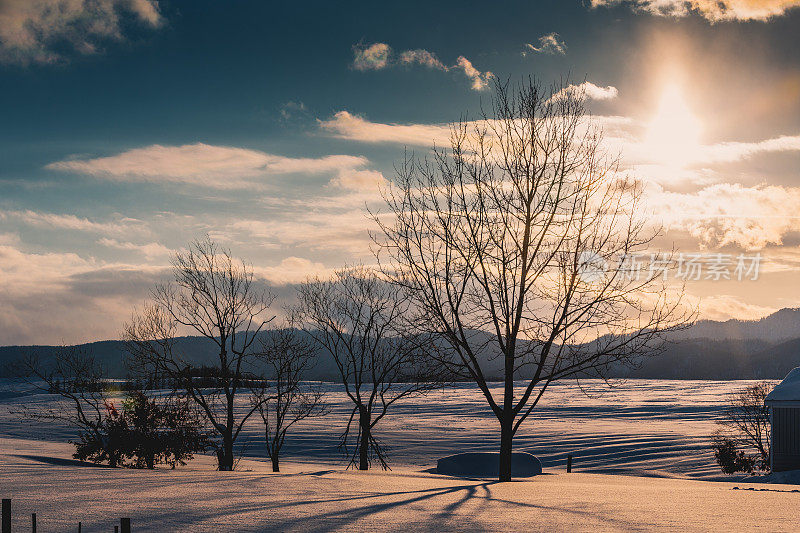 冬天的风景。Biei北海道日本