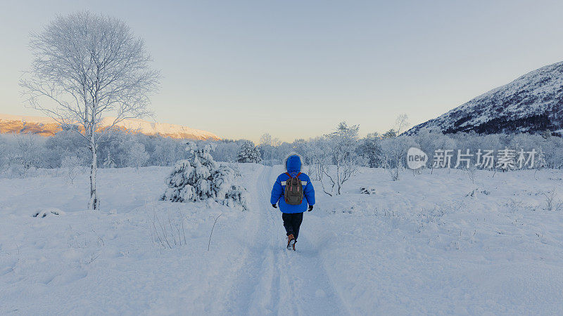 一名女子在挪威风景优美的冬季森林里散步，沉思着冰冻的日子