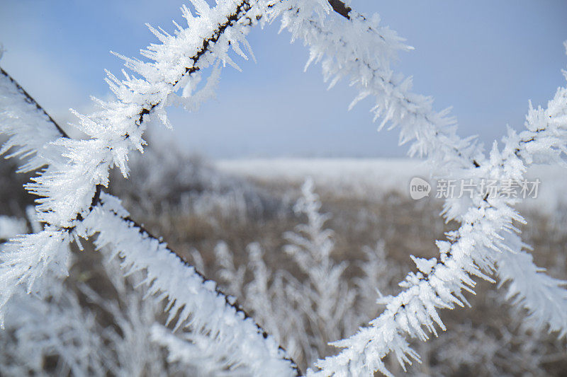 近距离的网眼围栏覆盖着白雪的冬季田野景观