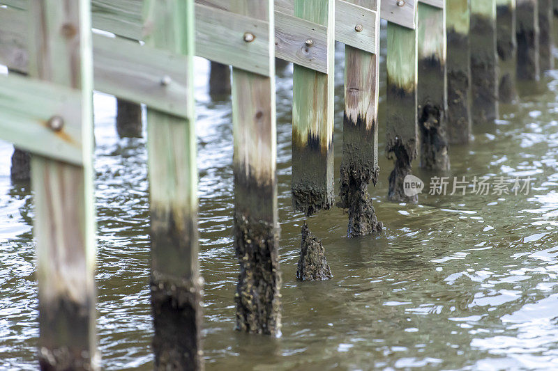 海水中完全腐烂的木板路支撑柱