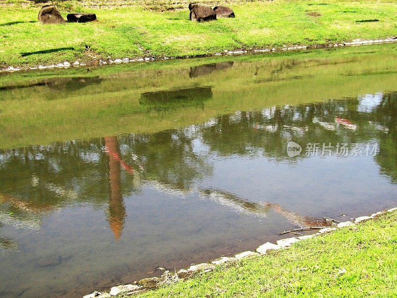 日本。四月底。Koinobori，日本传统的鲤鱼形状的风袜反映在运河的水。
