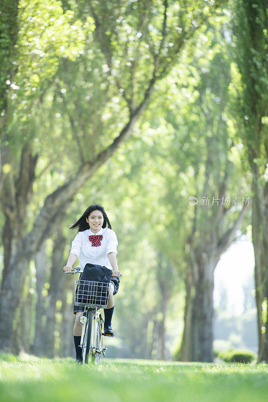 女学生骑着自行车沿着白杨树