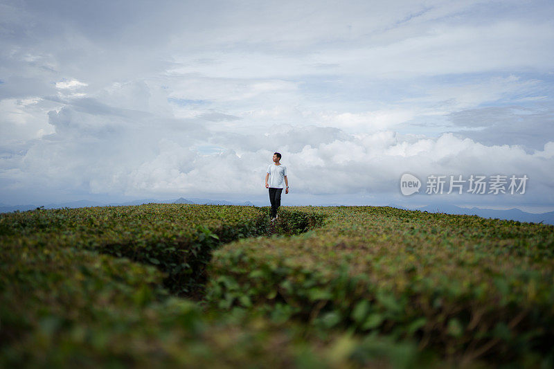 男子观赏茶园