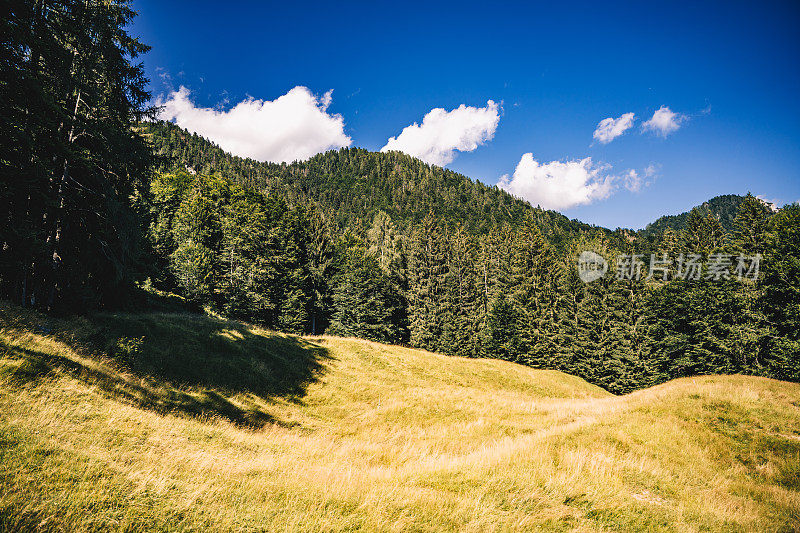 风景如画的特里格拉夫山全景