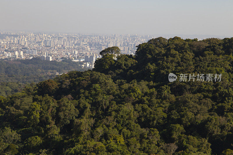 圣保罗空气污染