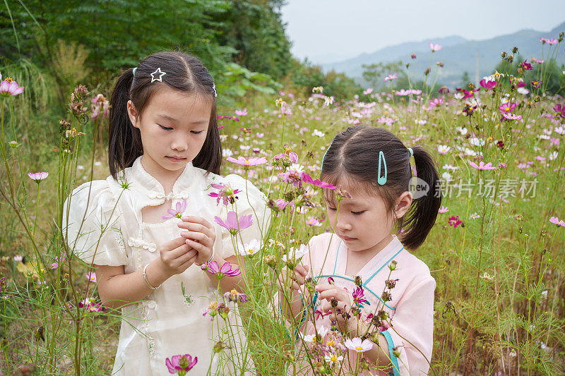 两个孩子在采摘野花