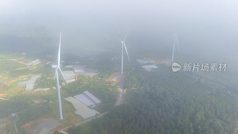 清晨美丽的风景，在大叻市，林东省。风吹茶山上，晨景山坡上茶树下