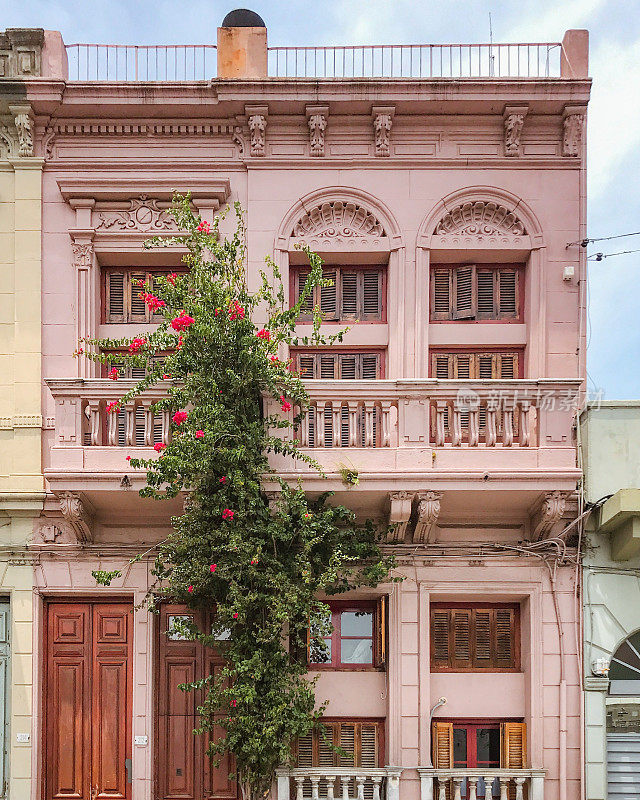 两层楼的老房子，粉红色的，门口有一棵漂亮的树，开着红花