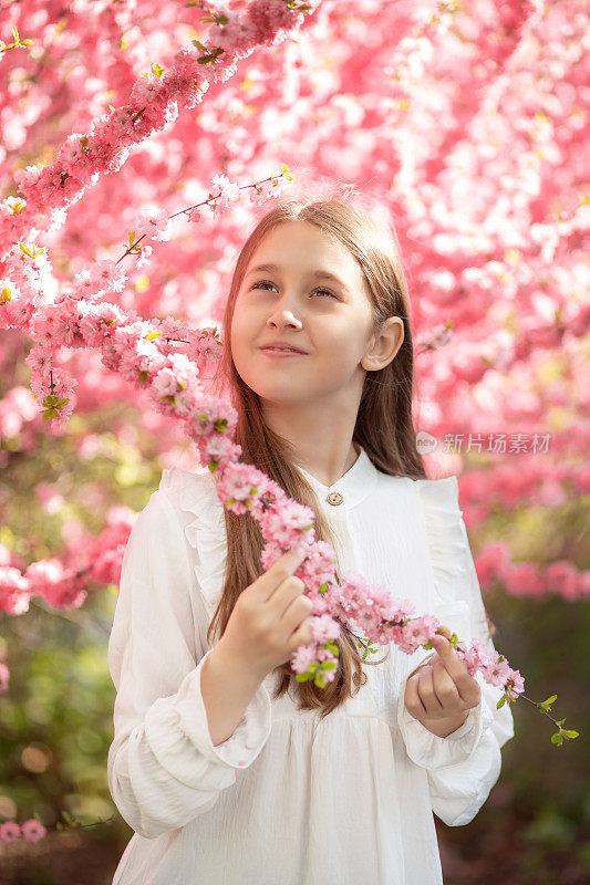 春日里，可爱的小女孩站在盛开的樱花园里