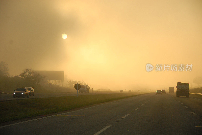 道路附近被烧毁