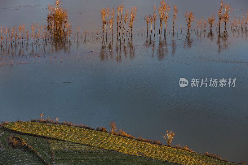 中国云南省年湖黑颈鹤保护区