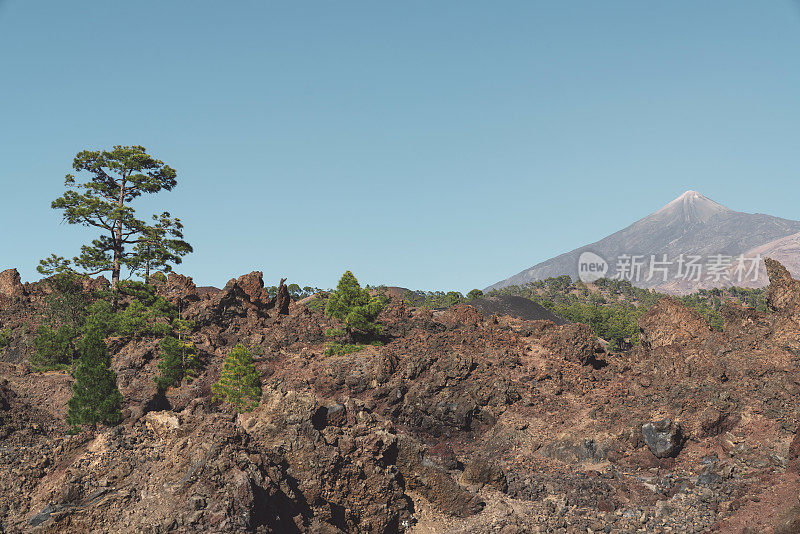 特内里费岛上的火山景观