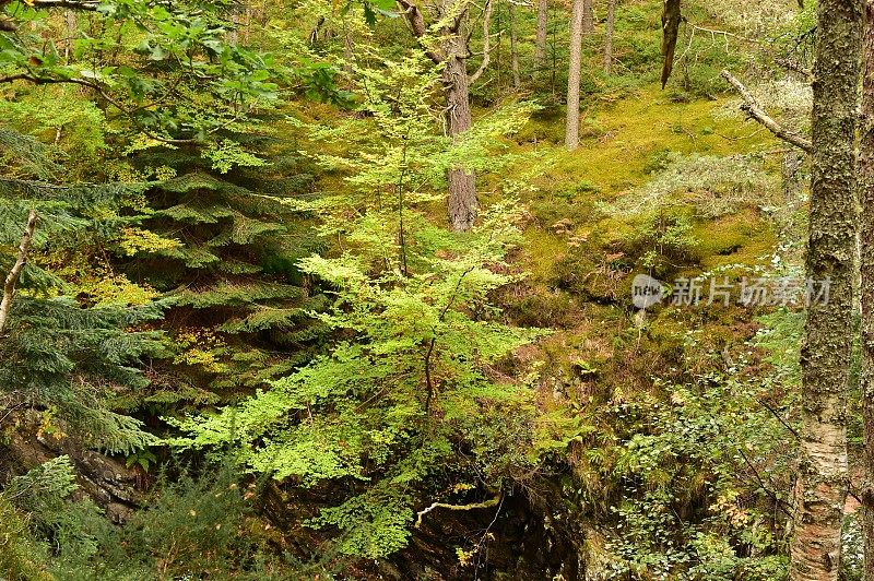 苏格兰高地