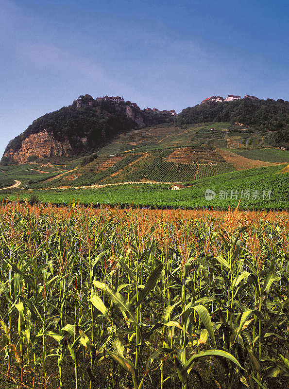 汝拉是法国东部Bourgogne-Franche-Comté的一个部门，以汝拉山脉命名