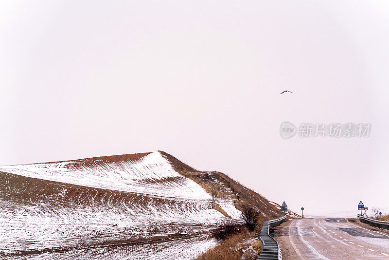 鹰飞和雪在公路上，冬季景观