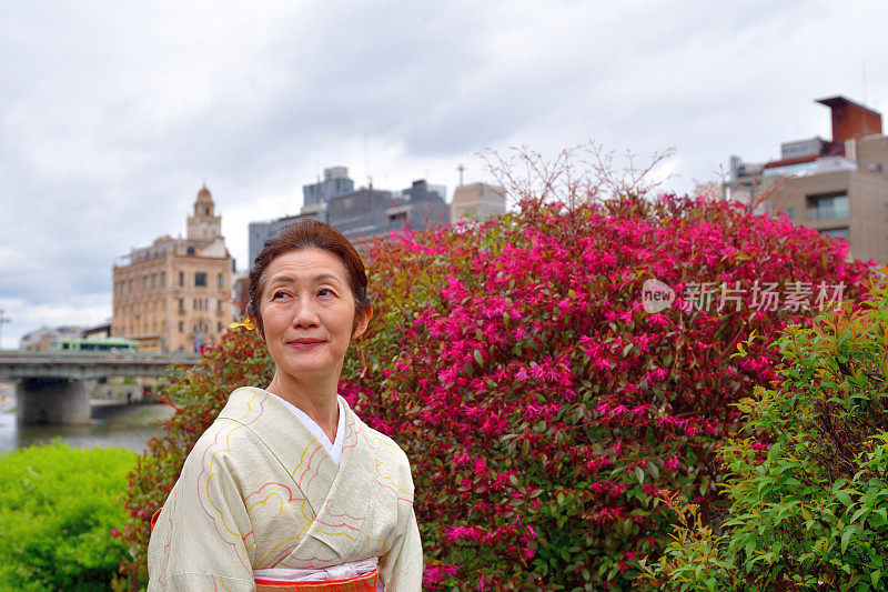 京都，一名穿着和服的日本妇女在卡茂河边享受着凤仙花