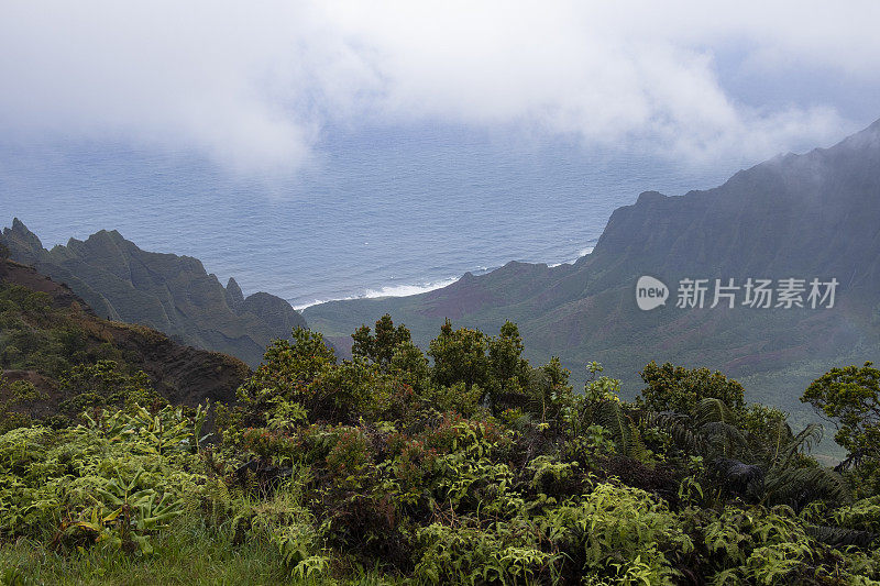 从Kalalua瞭望台观看