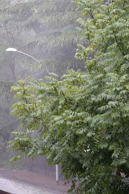 在下雨的一天