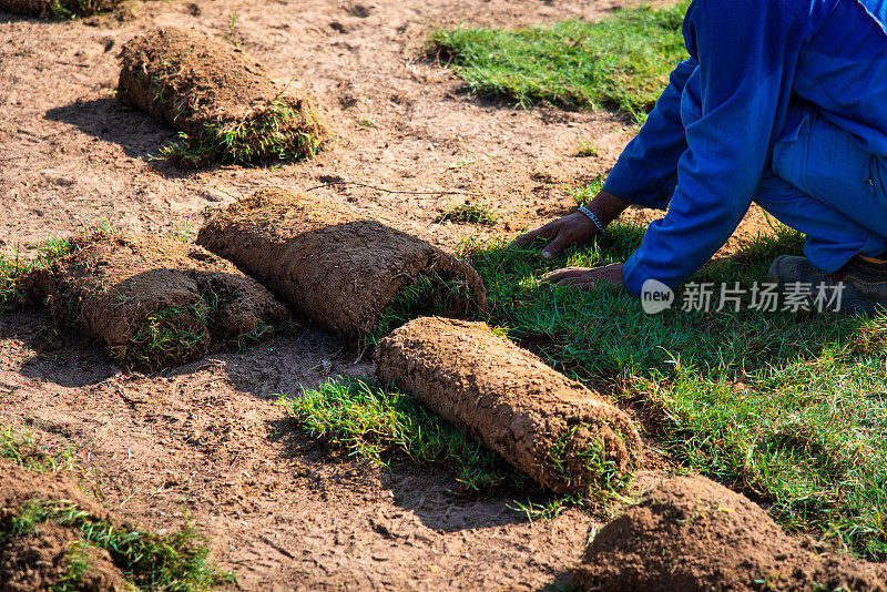 男人在院子里种草的特写