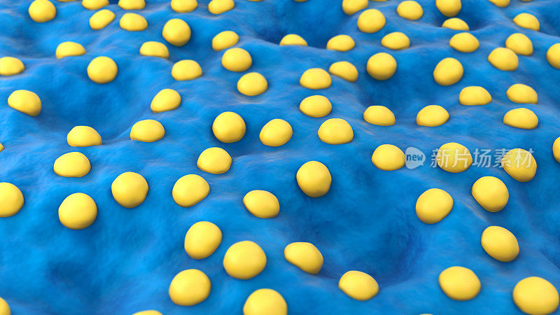 黄热病病毒粒子的电子显微图，3D渲染