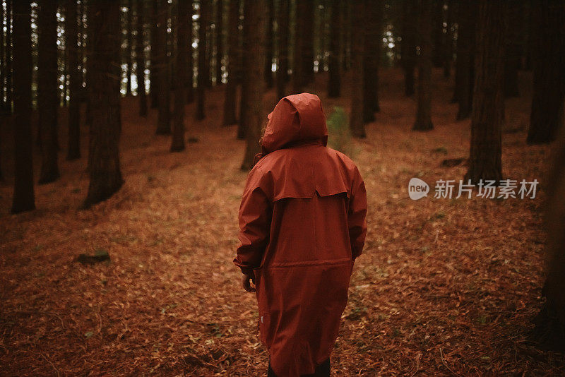 秋日森林里一位年轻女子的后视图