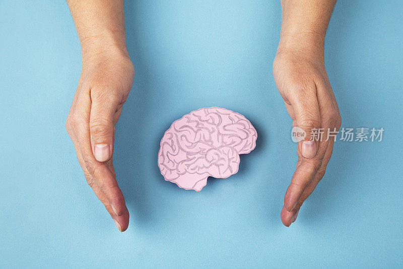 人类的大脑和手