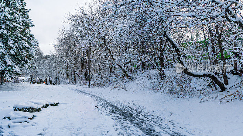 汉密尔顿，安大略-雪覆盖的步道通过三叶草公园