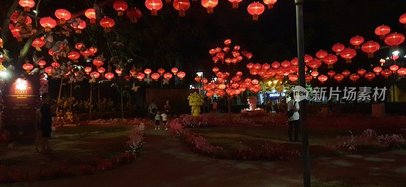 乔治城公共公园的树上挂着红色的中国新年灯笼