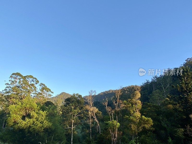 Huonbrook山谷雨林