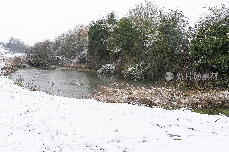 在一场雪阵雨中，高沼地的灌木丛和排水池