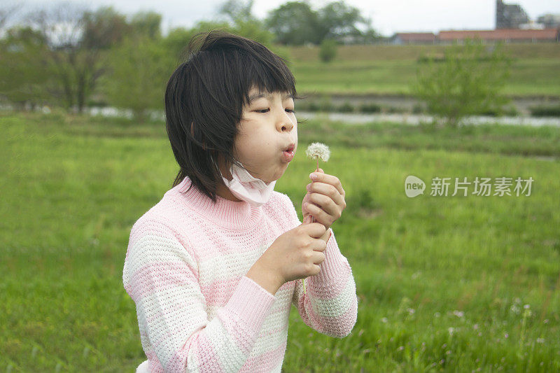 小女孩对着蒲公英的爸爸呼气