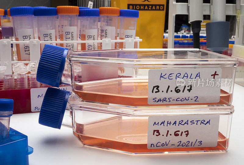印度新型Sars-Cov-2变种的调查，实验室称为B.1.617，来自喀拉拉邦和马哈拉施特拉邦的菌株，概念图像。
