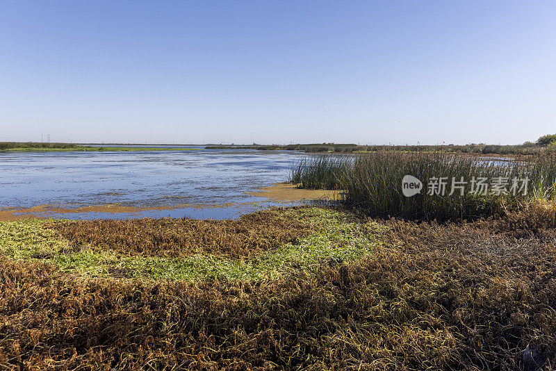 大突破区域海岸线