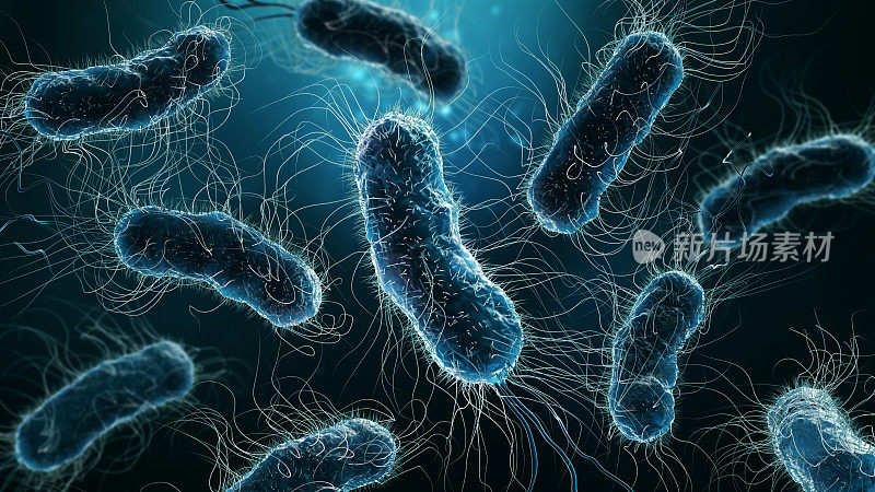 蓝色背景上的细菌菌落近距离3D渲染图。微生物学，医学，生物学，科学，医学，感染，疾病概念。