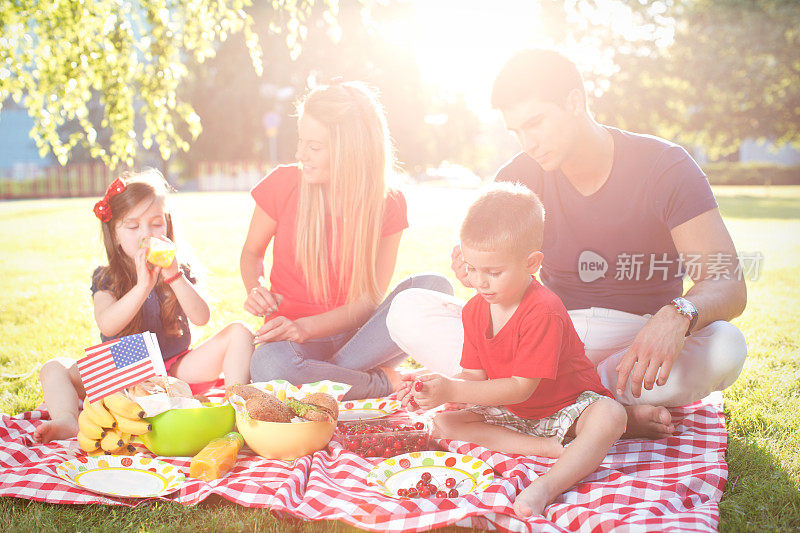 7月4日家庭野餐。