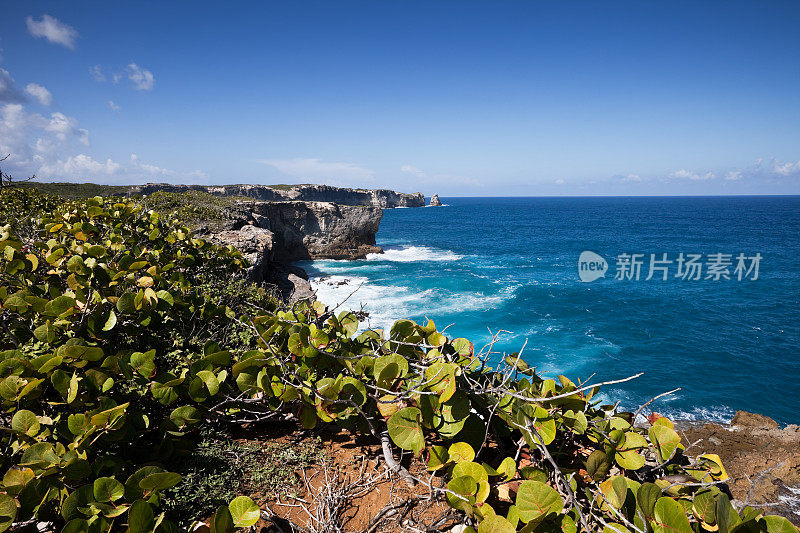 地狱之门的瓜德罗普海岸